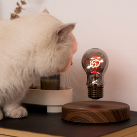 Levitating Bulb Lamp, Magnetic Floating Night Light & Desk Decor, Unique Valentine‘s Day Gift for Her and Him, Cool Tech Gadget for Home Office, Christmas Birthday Present (Round-Classic Bulb)