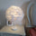 Bedroom Artistic Feather Table Lamp – Elegant Decorative Night Light for Home & Bedroom Décor